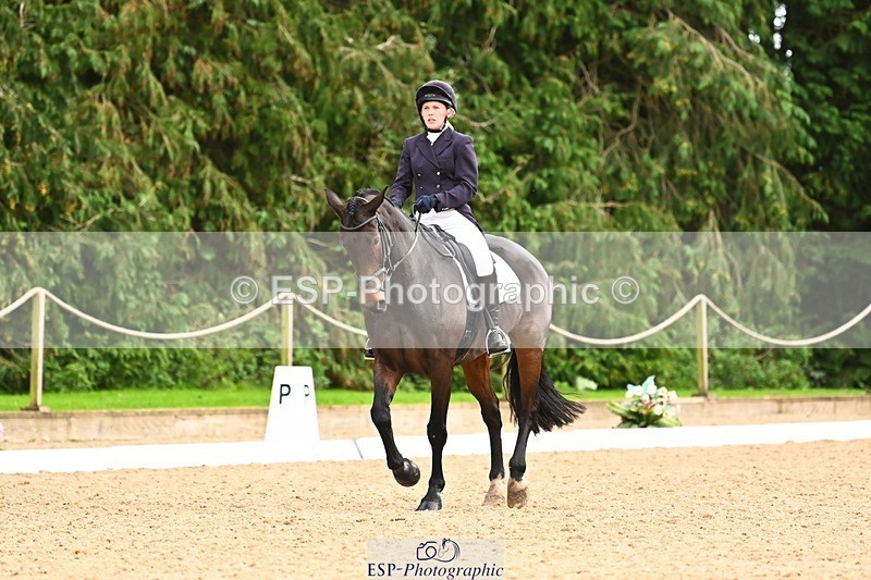 231020-155025-11957 - 217-CEFNPANT.IOLO-Katie.Thomas-DR