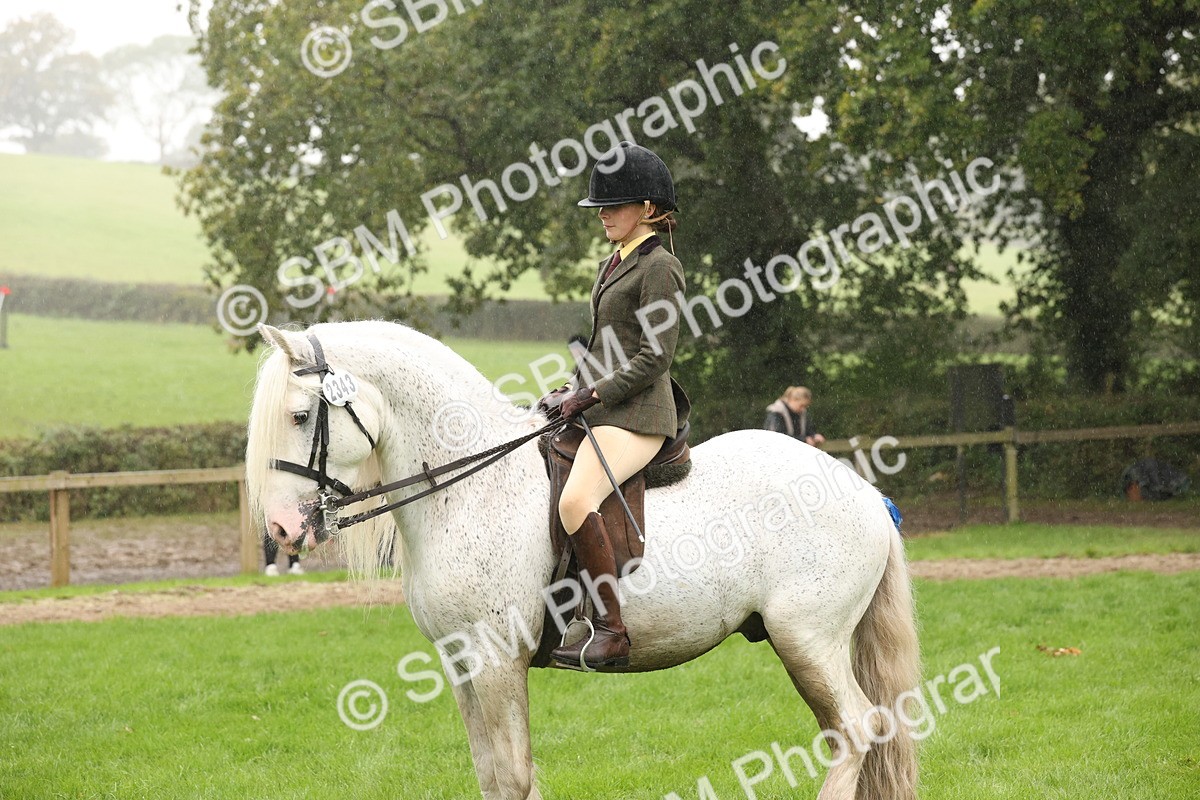 SBM_72789 - S70 - Traditional Cob Ridden