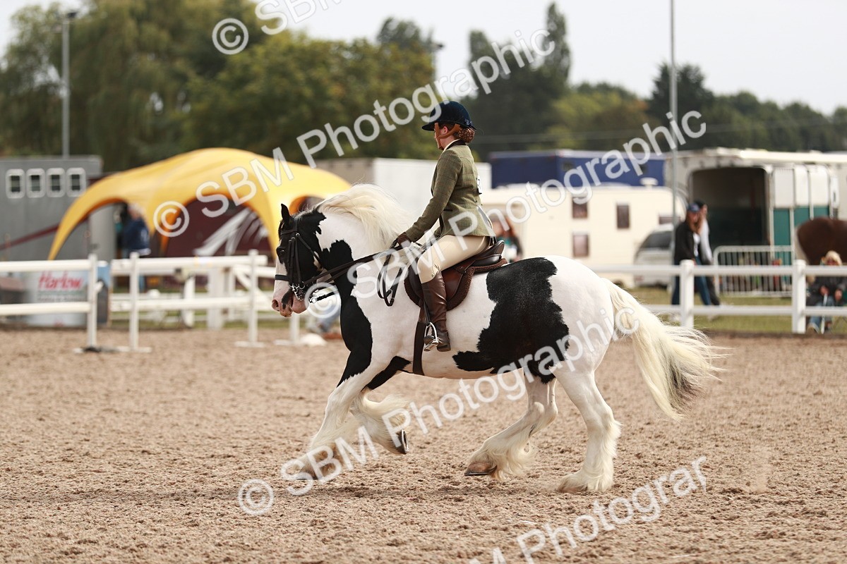 SBM_16776 - Class 214 Ridden Cob