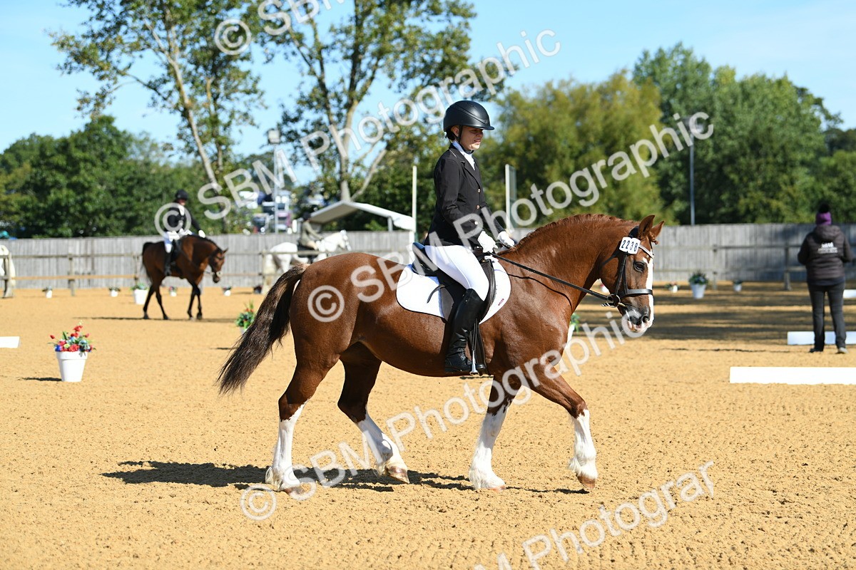 SBM_18014 - D4 - Small Tour Championship - Intro B