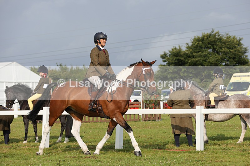 1X9A2838 - Class 25: Ridden Plaited Coloured Horse
