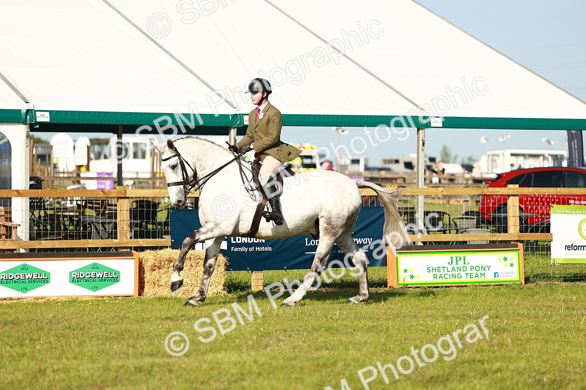 SBM_10805 - Class 66-69 - RIHS Ridden Hunters Inc Small Hunter