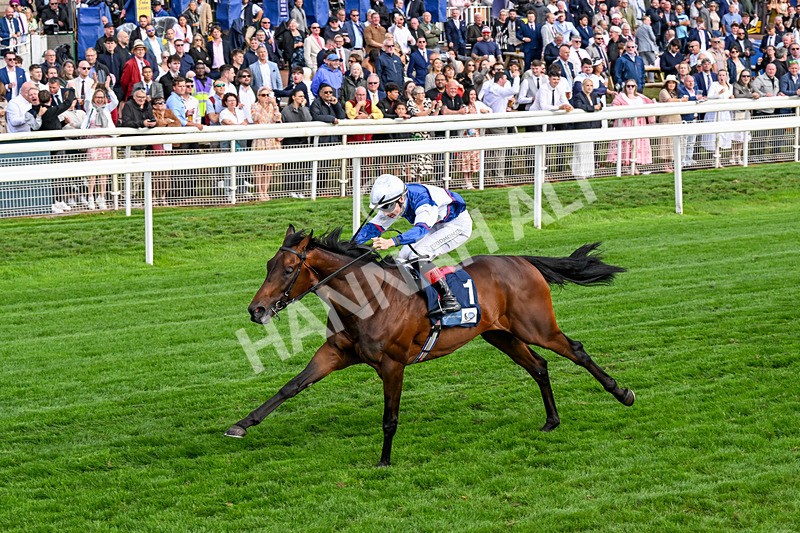 210826-Race 6-Benjamin Hornigold-0387 - Race 6 16.45pm British Stallion Studs EBF Convivial Maiden Stakes