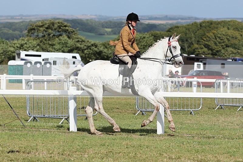 JPP_2911 - Class 20: Working Hunter 70cm