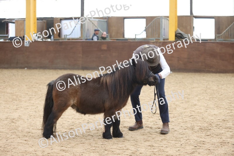 20251109-0378 - Class 14 - Geldings 4 Years and Over