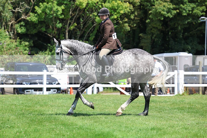 3E7A8968 - Class 6: Open Working Horse