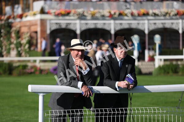 yr08102021r3-18 - Race 3 3.15pm Download The Casumo App Today Handicap