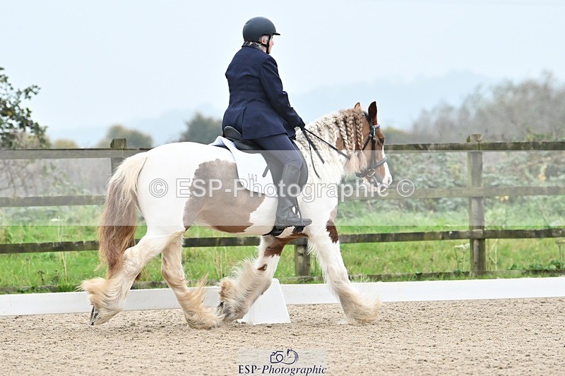 241103-085120-00639 - Prelim 1 - 8.30 to 9.54