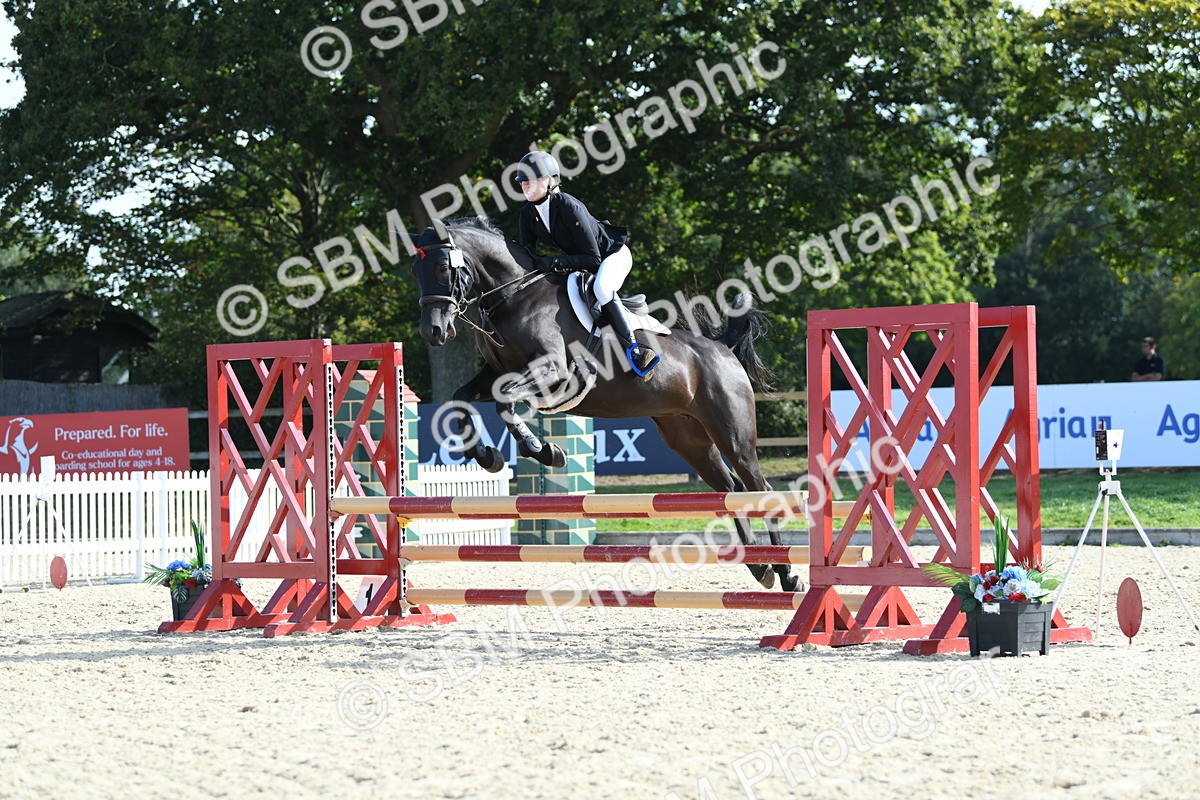 SBM_61537 - j25 - Junior Horse 80cm Championship