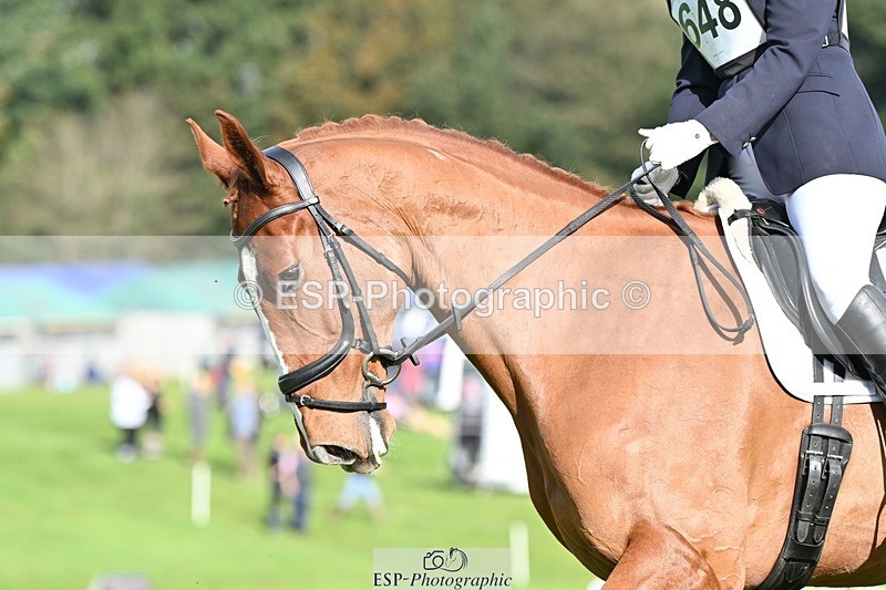 231020-113846-08208 - 648-FRIARSHILL.CHARLES-Caroline.Wilkinson-DR