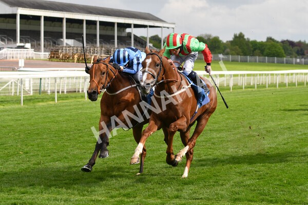 yr14052021r7-29 - Race 7 4.50pm Irish Thoroughbred Marketing Stakes