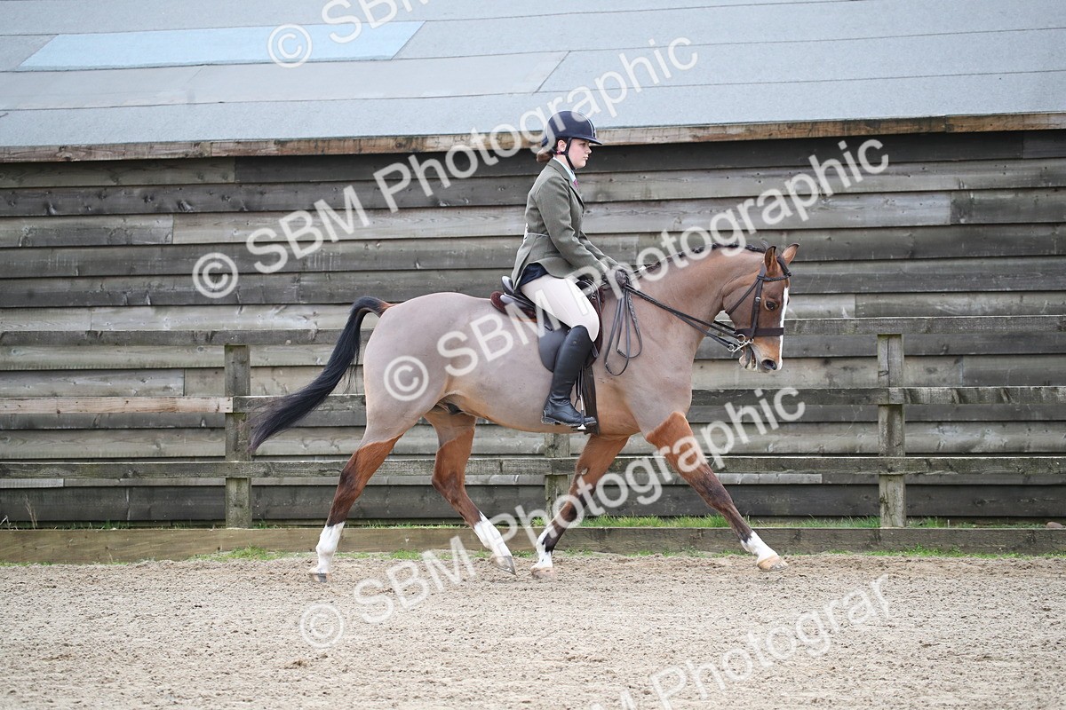 SBM_004646 - Class 5-9 - NPS In Hand-Show Hunter-Intermediate Ridden Inc Ridden Championship