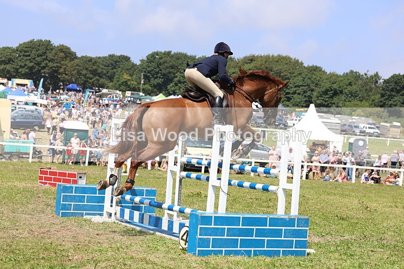 3E7A3356 - Class 10: Senior Foxhunter/1.20 open