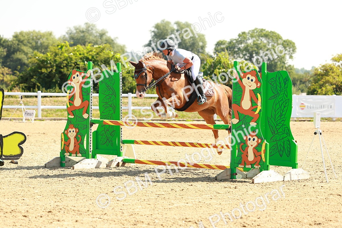 SBM_000053 - Class 2 - Senior British Novice - 90cm