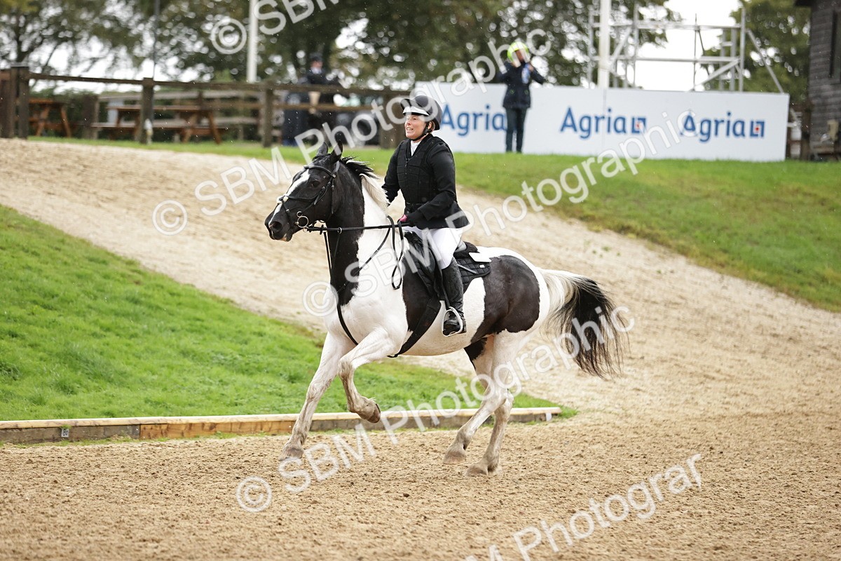 SBM_35887 - J38 - Senior Horse & Pony 80cm Championship