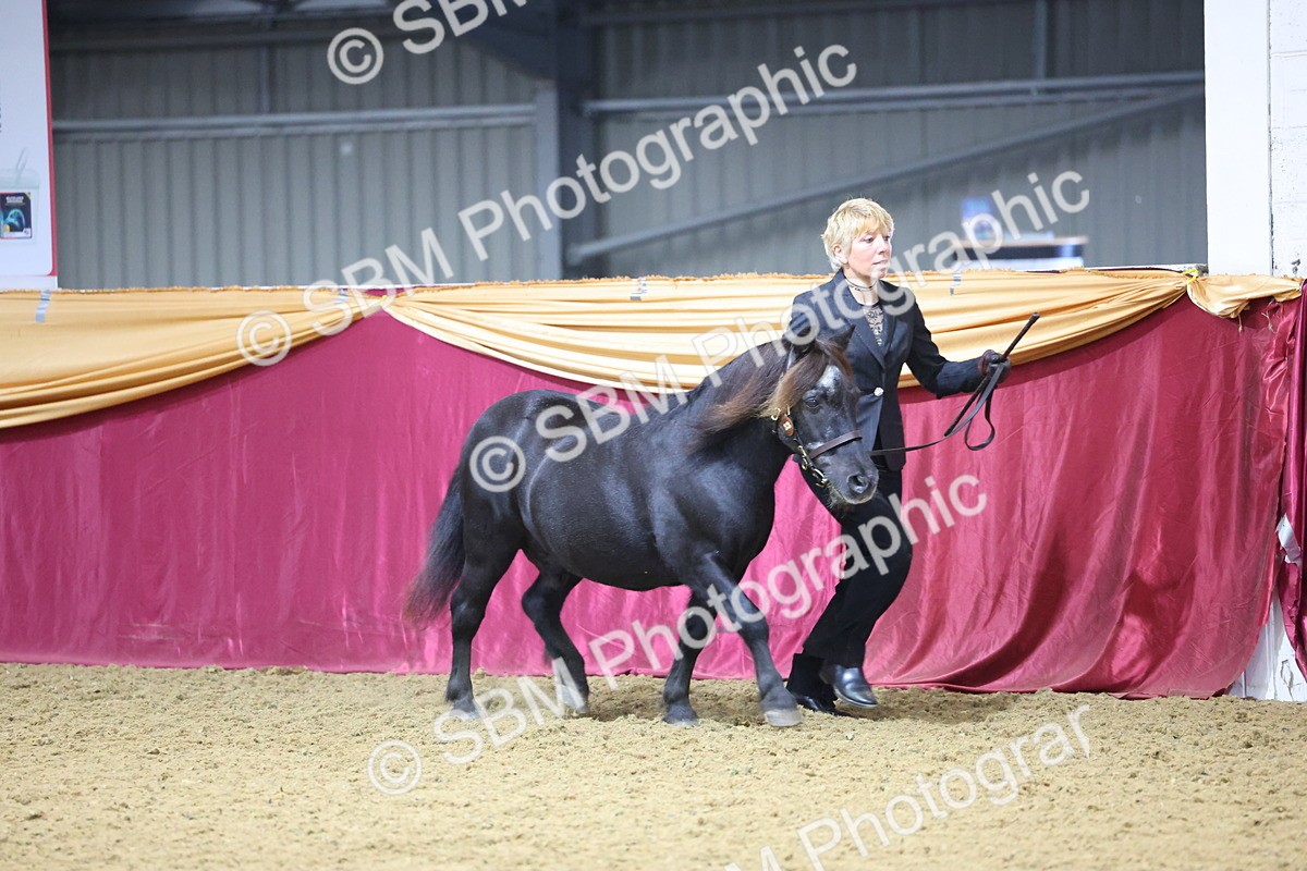 SBM_19632 - Class 901 - Supreme Final - IH Diamond