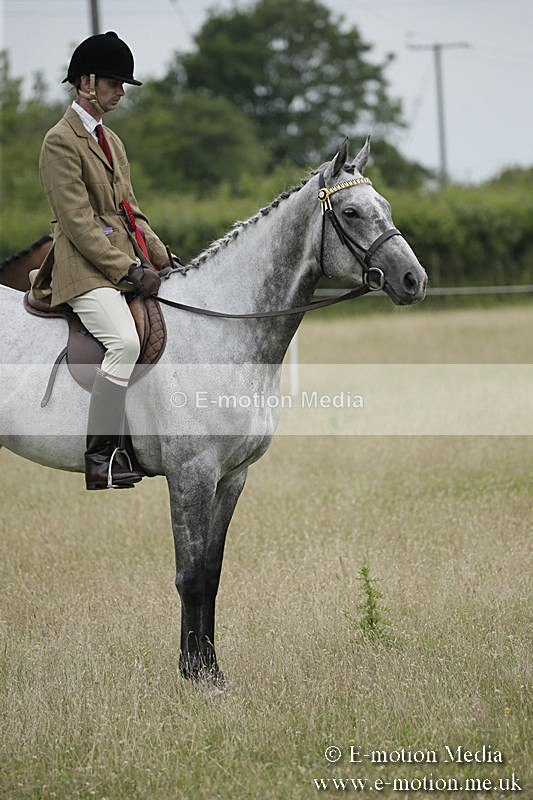 B230619-0952 - Bourne Valley Riding Club Summer Show 23/06/19