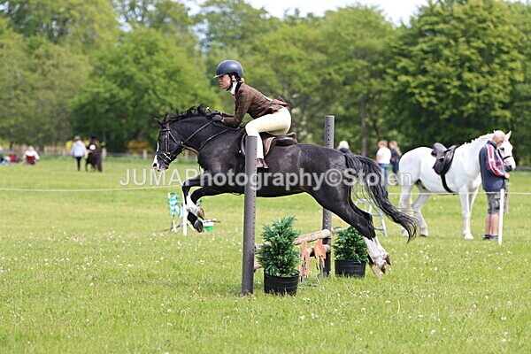 IMG_3197 - Working Hunter