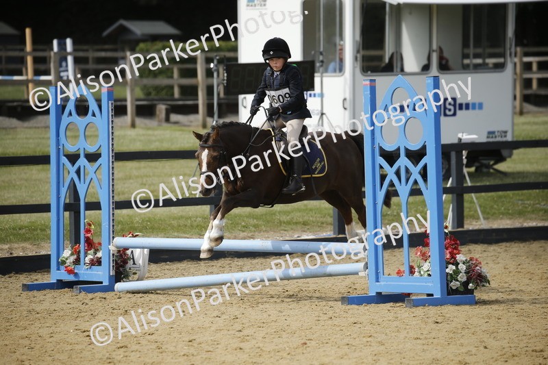 20250622-3671 - 50cm