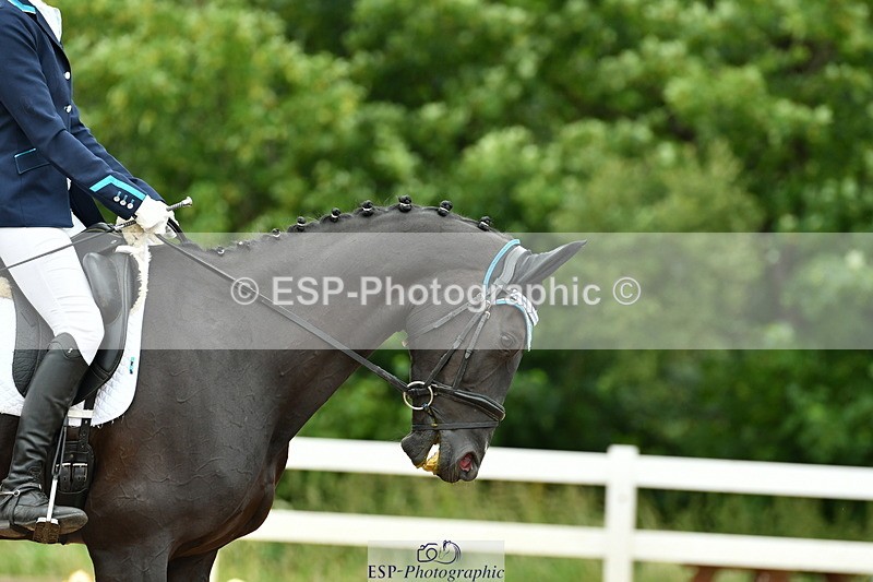 230630A-113308-01635 - Cls 7 Elementary 45