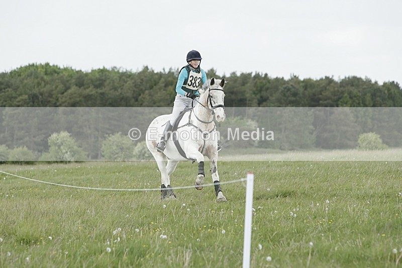 BVHT 140517  NXC -131 - Class 2 XC Novice 14/05/17