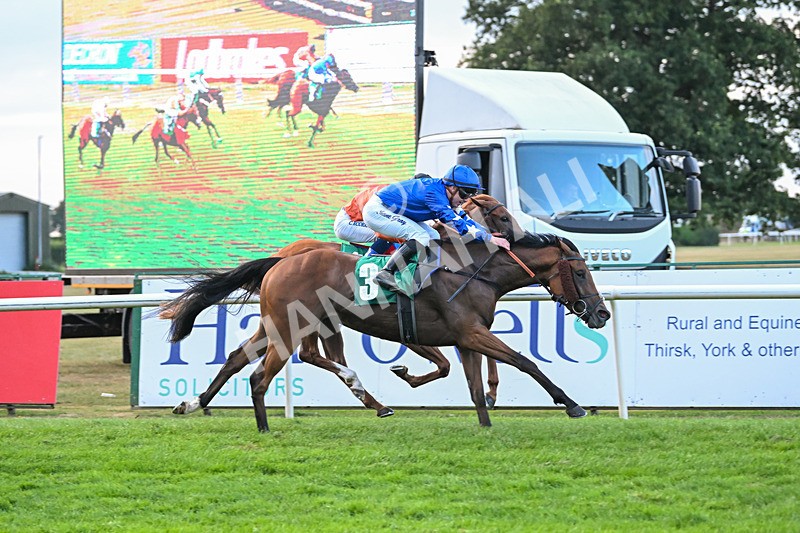 150825-Race 5-Jez Bomb-2998 - Race 5