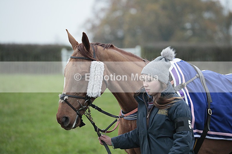 PtP 041222 0577 - Wheatland  Hunt PtP Chaddesley Corbett, Worcs 04/12/22