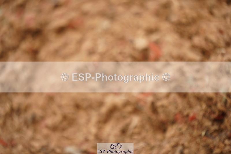 240524A-112142-03093 - Cls 14 Newcomers