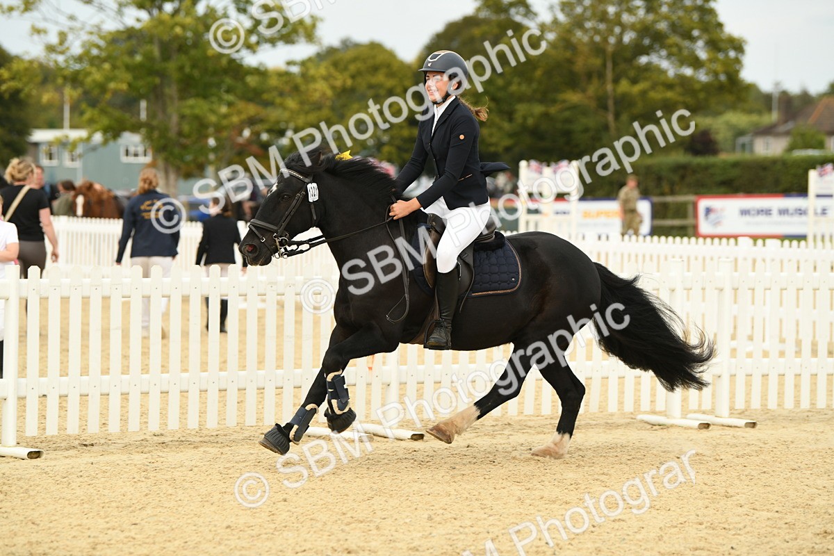 SBM_71211 - J15 - Junior Pony 70cm Championship