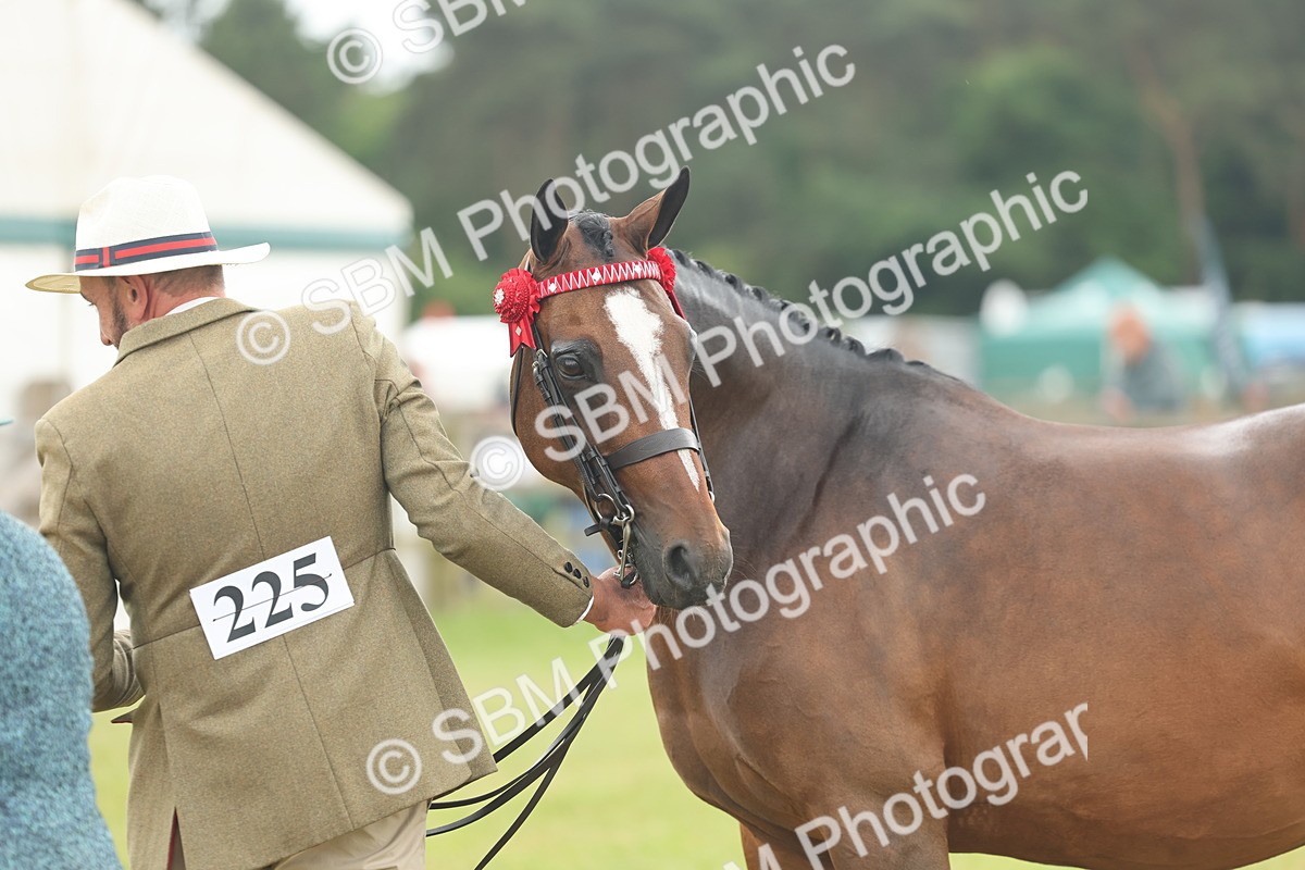 SBM_05518 - Class 68-73 - Riding Pony Breeding