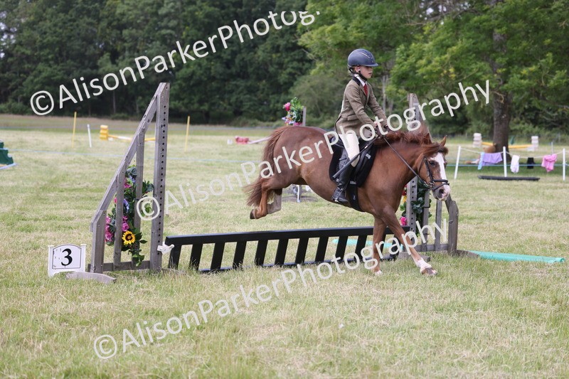 20260614-2075 - Class 21 - Novice Working Hunter Pony