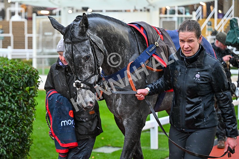 141125-Race 5-No Drama This End-0570 - Race 5