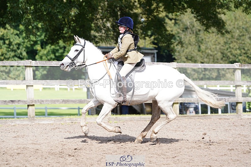 240824X-145448-28570 - 80cm Round 1 14.00 to 15.30