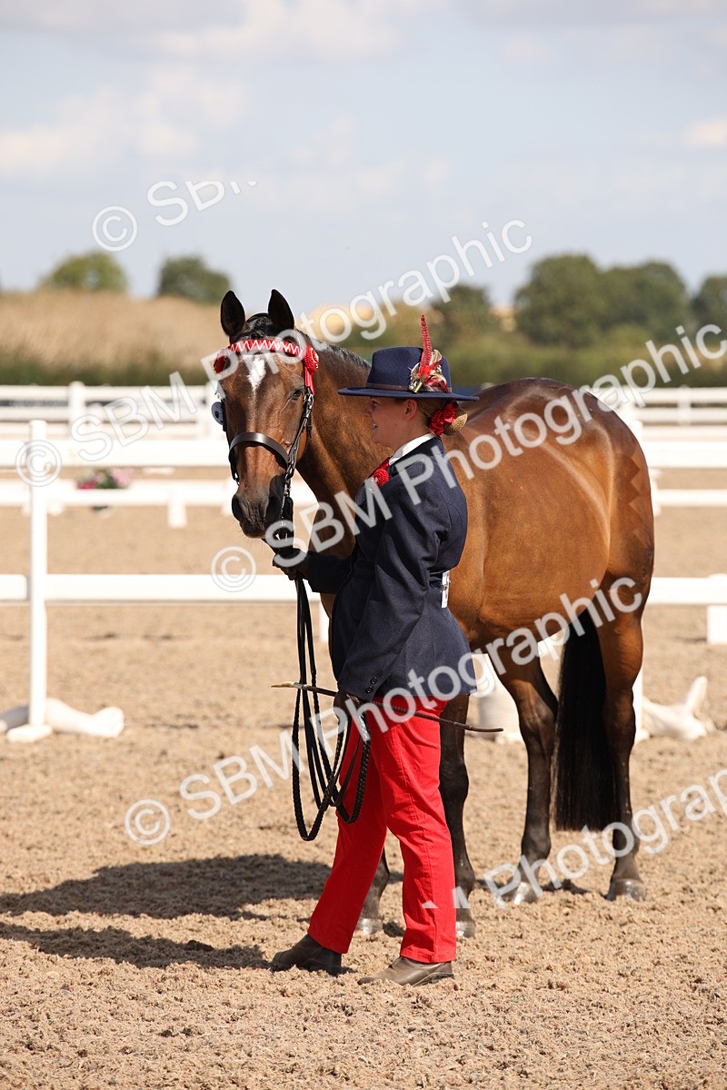 SBM_03051 - Class 17 Prettiest Mare IH or Ridden