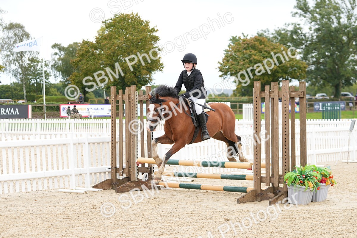 SBM_43421 - J7 - Junior Pony 60cm Championship