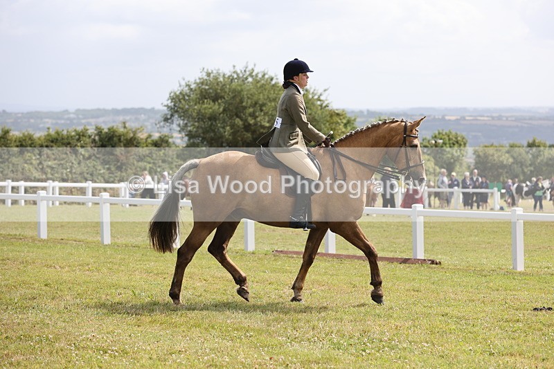 JPP_1327 - Class 17: Cornish Combination Open