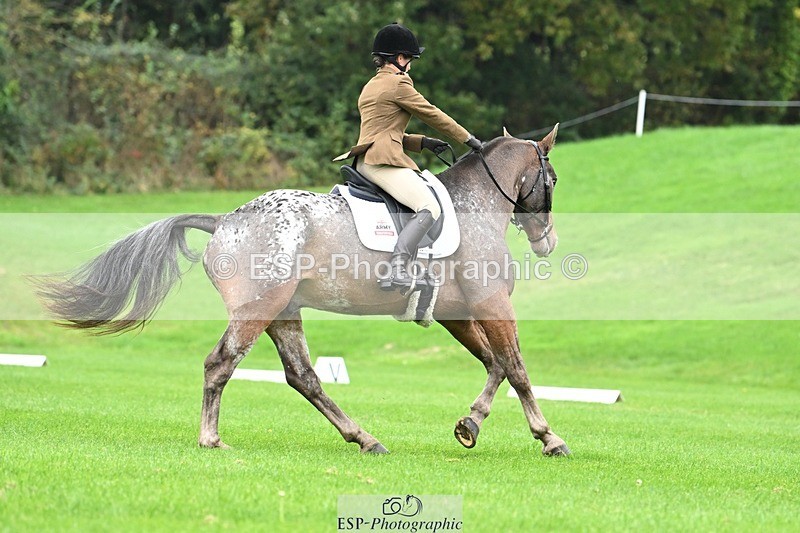 241024-105241-03073 - 501-Captain.Holly.Day-MUSTANG