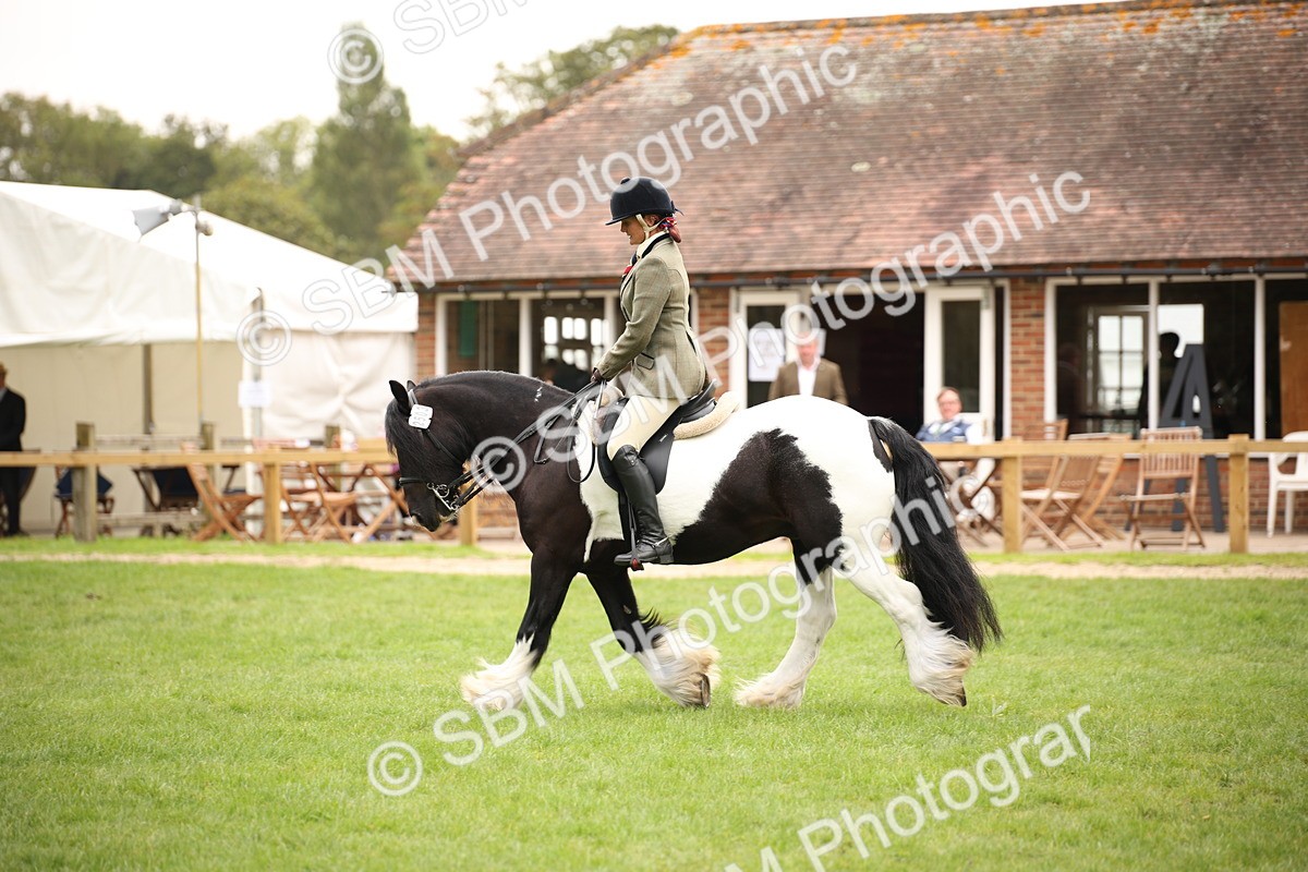 SBM_73505 - S68 - Traditional Cob Ridden