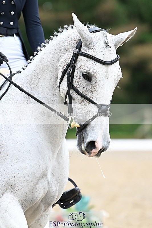 231019-152152-04455 - 063-TOMGAR.GRACE-Annie.Smith-DR