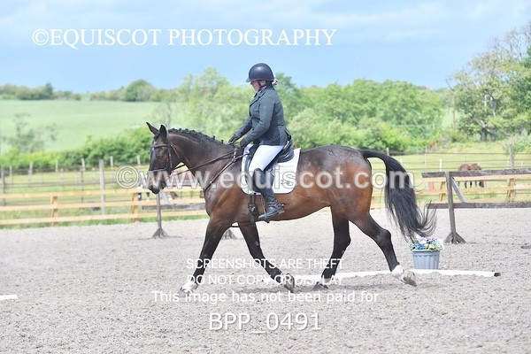 BPP_0491 - MFS NOVICE