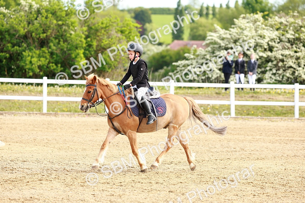 SBM_006622 - Class 1 - 40cm