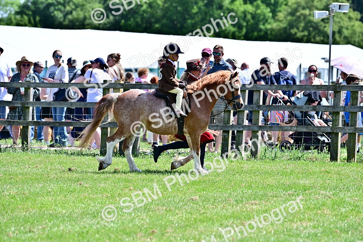 SBM_05758 - Class 59-60 - TSR M&M  Lear Rein and First Ridden Amateur of the year