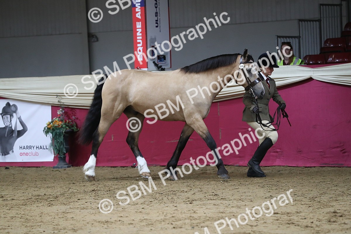 SBM_06314 - Class 9R Regional- IH Pre Vet