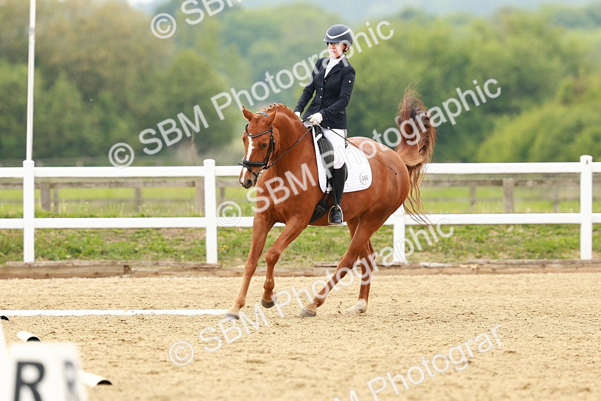 SBM_001351 - Class 7 - Novice 5