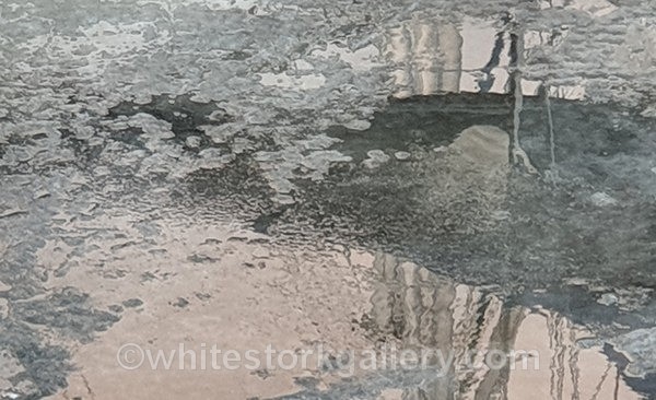  - NEW Winter Reflection