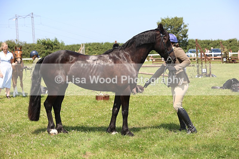 JPP_2891 - Class 21: Working Hunter 60cm