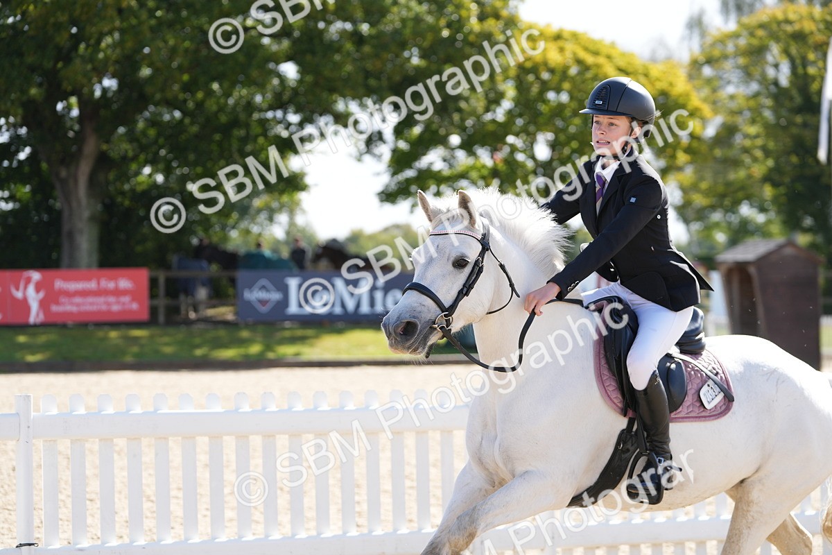 SBM_38405 - J6 - Junior Pony 55cm Championship