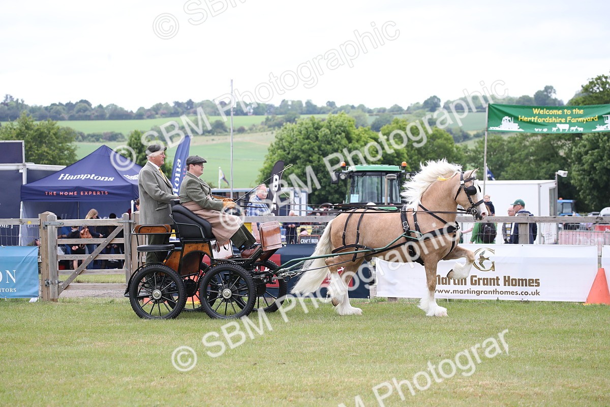 SBM_05615 - Class 12-15 - HOYS Private Driving