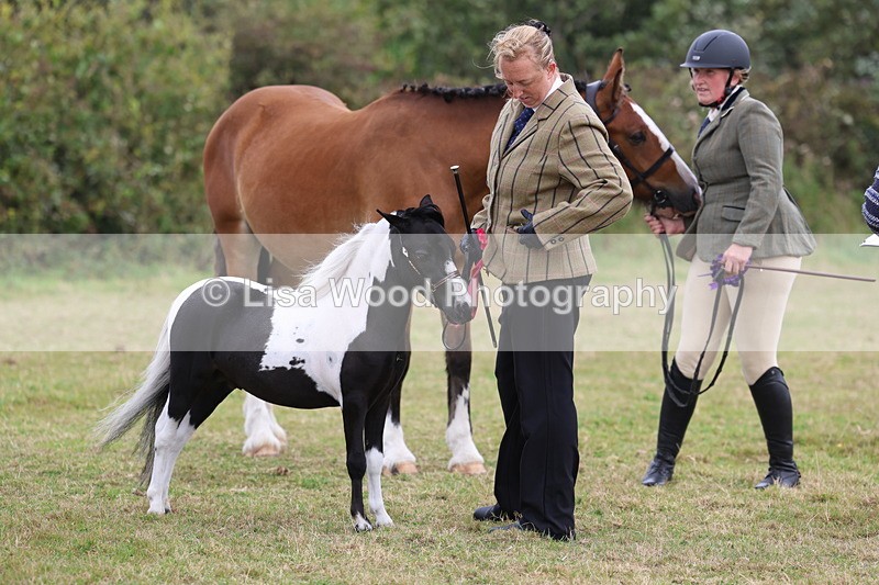 3E7A4271 - Class 15: Two Year Olds