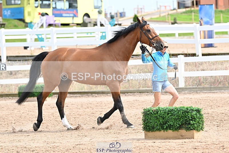 240717A-163723-03451 - Trot Up 4pm to 5pm